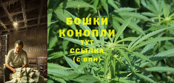 твердый Аркадак