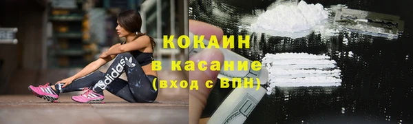 твердый Аркадак