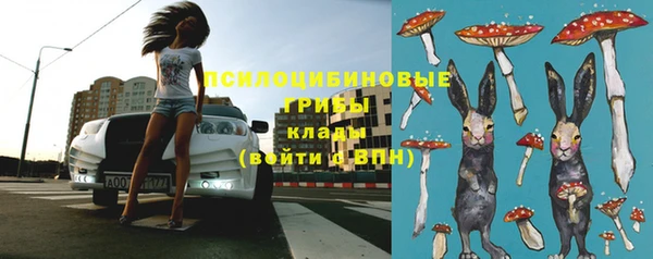 твердый Аркадак